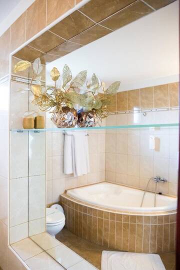 Фото Отель Hotel Roco г. Izvin 4
